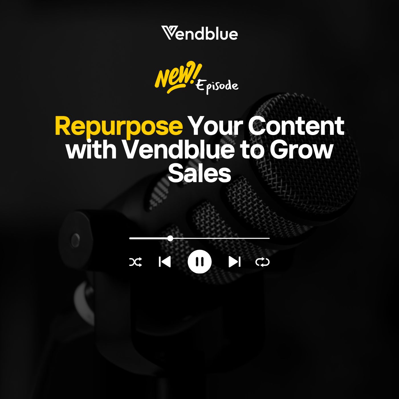 Repurposing One Idea Into Multiple Products with Vendblue to Grow Sales